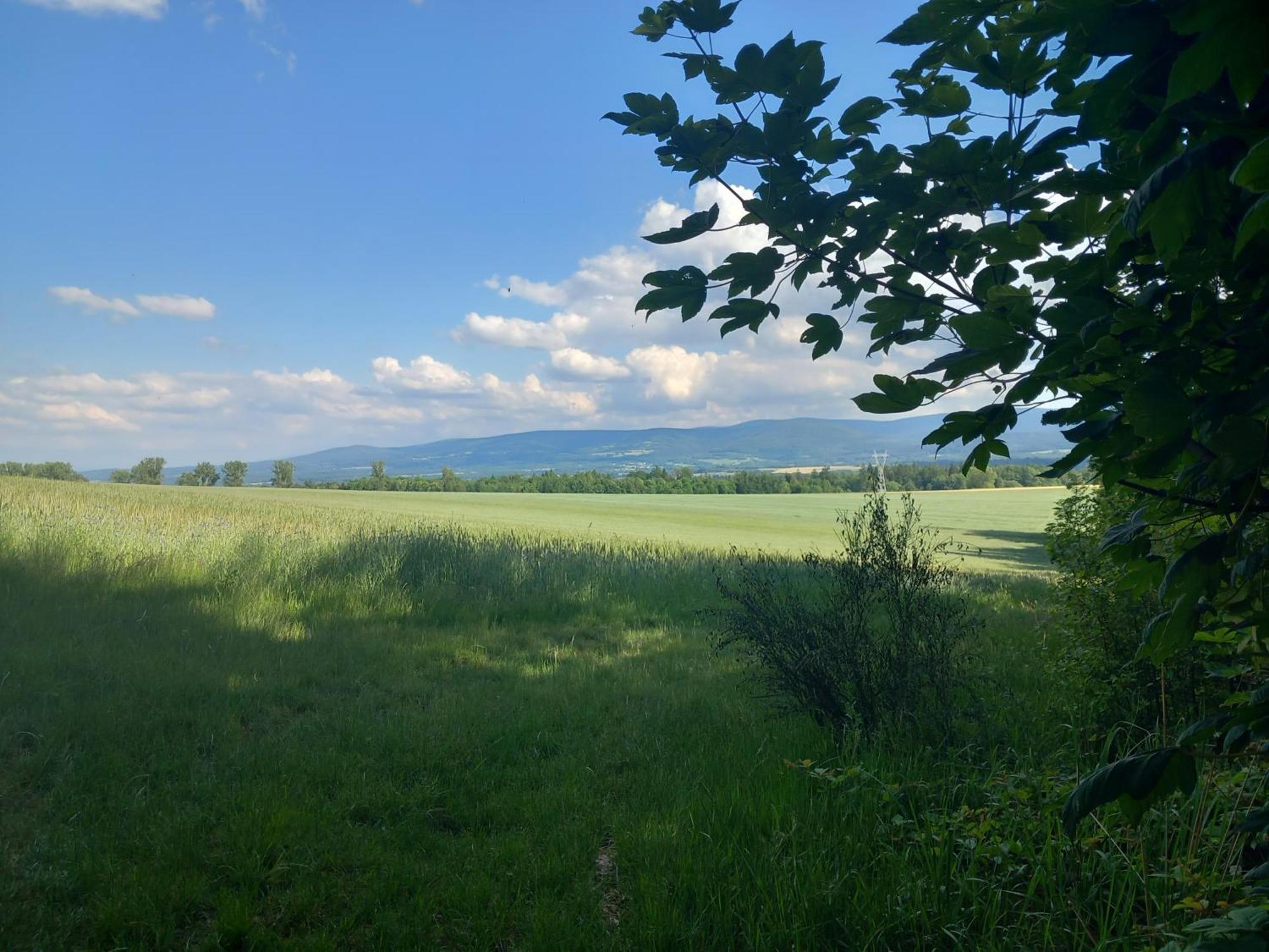 Szewska Pasja Agroturystyka Wiejska Leśna Εξωτερικό φωτογραφία